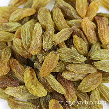 Golden Green Black Red Dried Dried Raisin ขาย